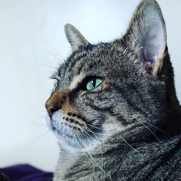 Meet your Posher, Dani - Picture 2 of 2